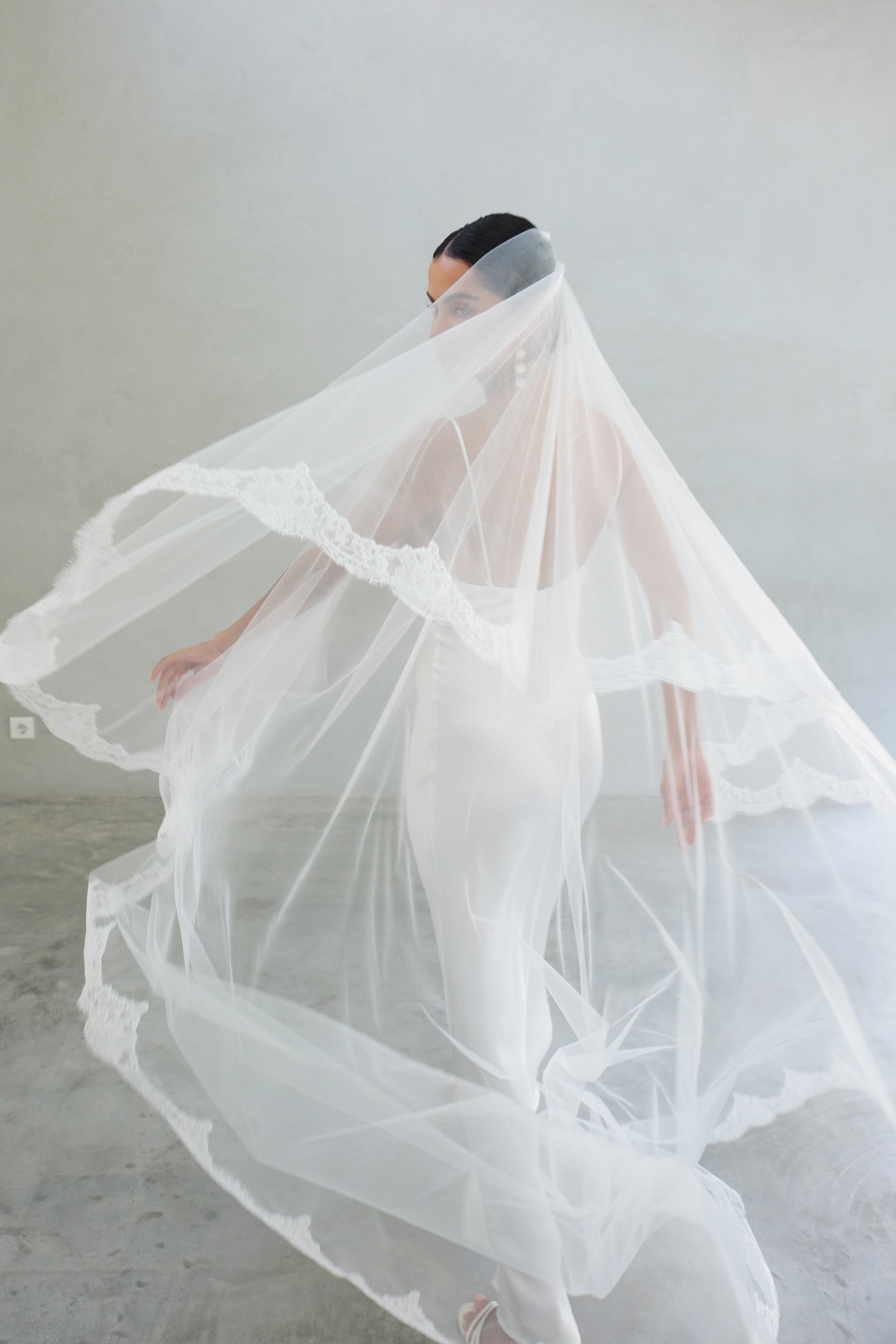 BELLEROSE II | Drop Veil with Lace Trim