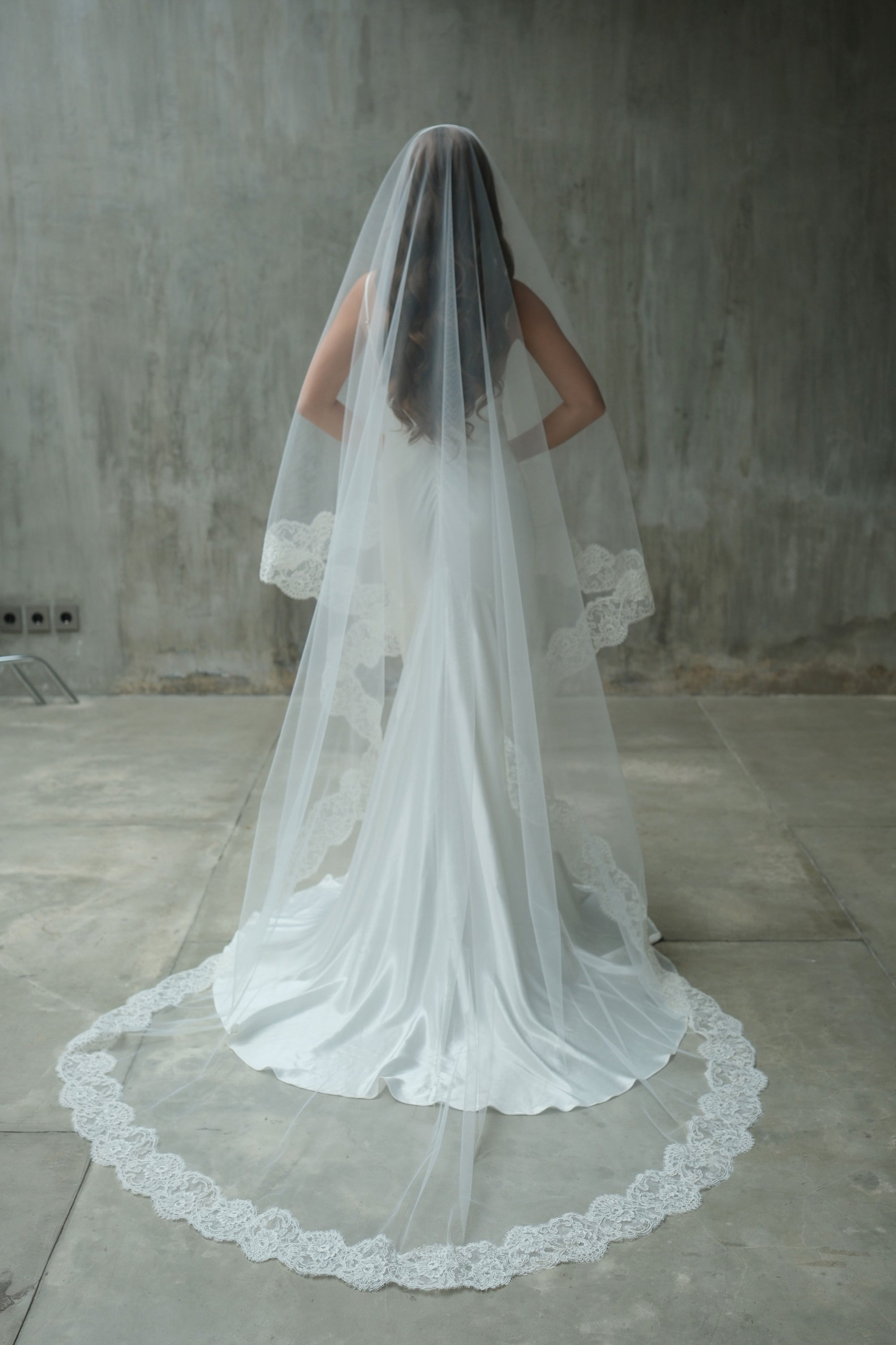 Full length back view shows elaborate lace trim on edges and around train of chapel length wedding veil