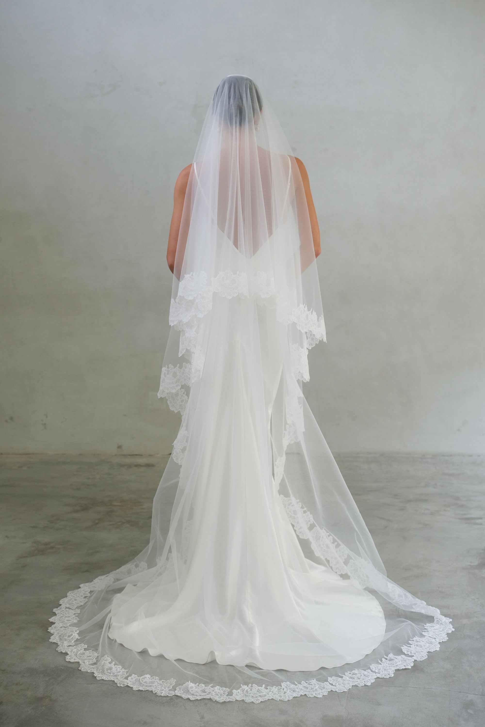 CLARISSA II | Drop Veil with Lace Trim