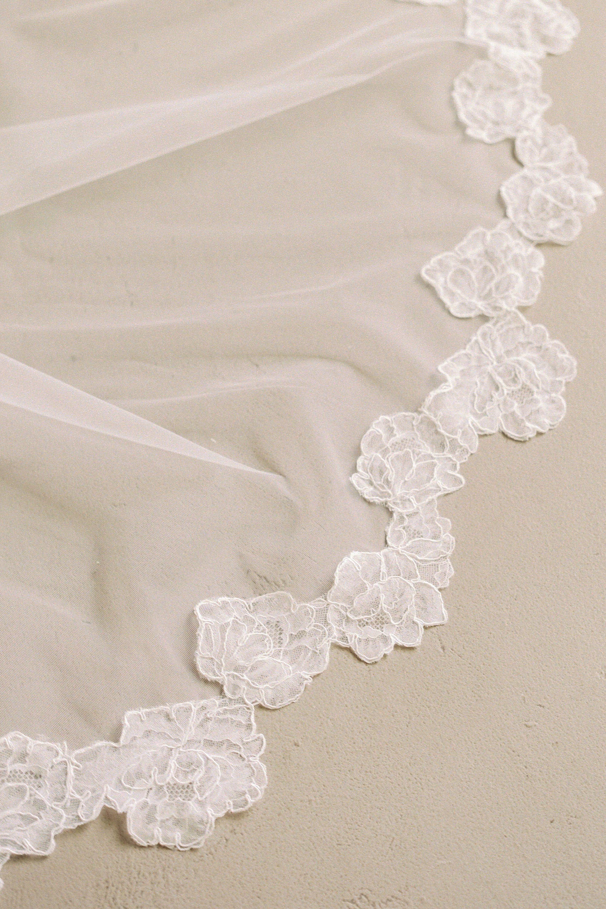 Lace trim wedding veil