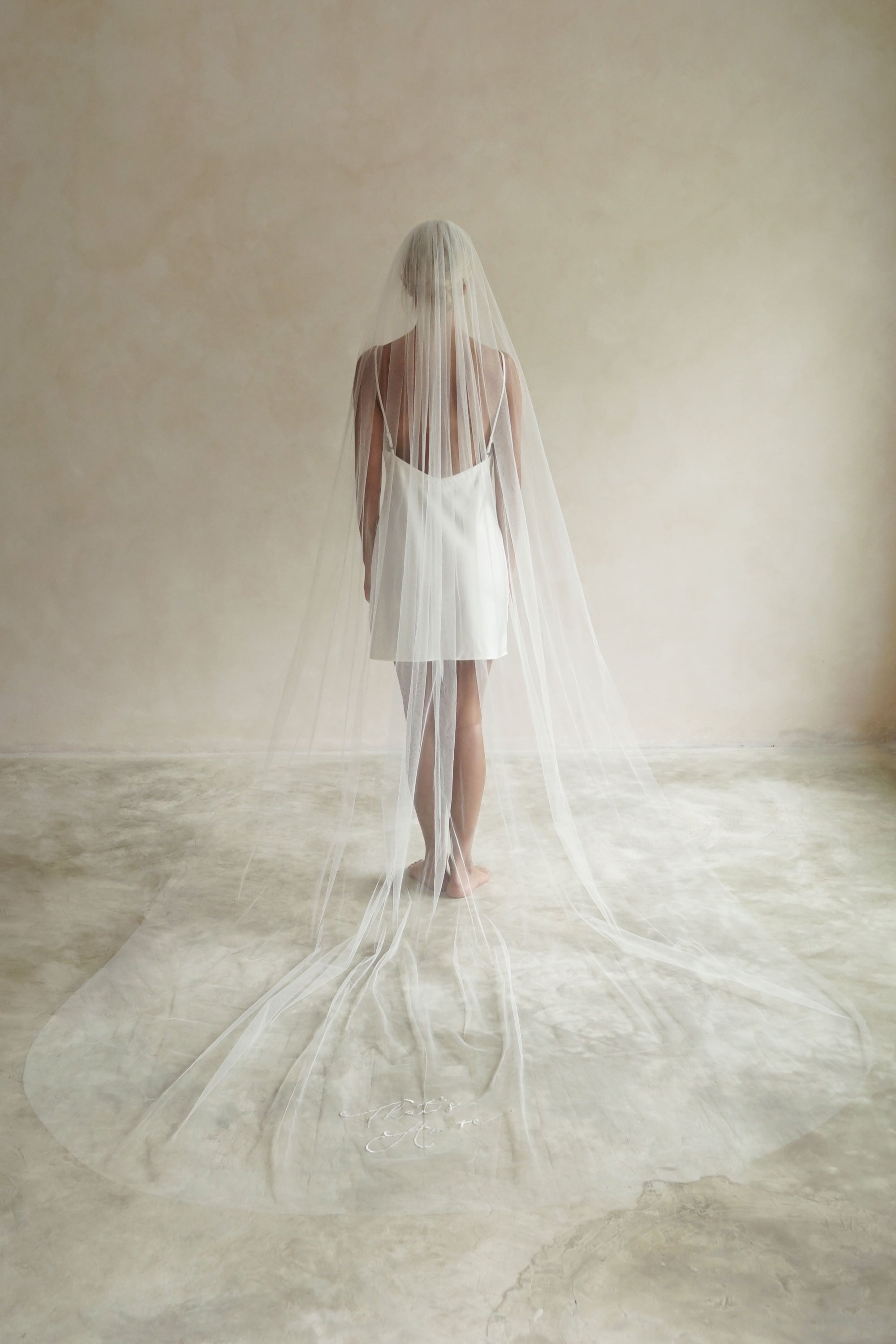 A model wearing that's amore embroidered veil